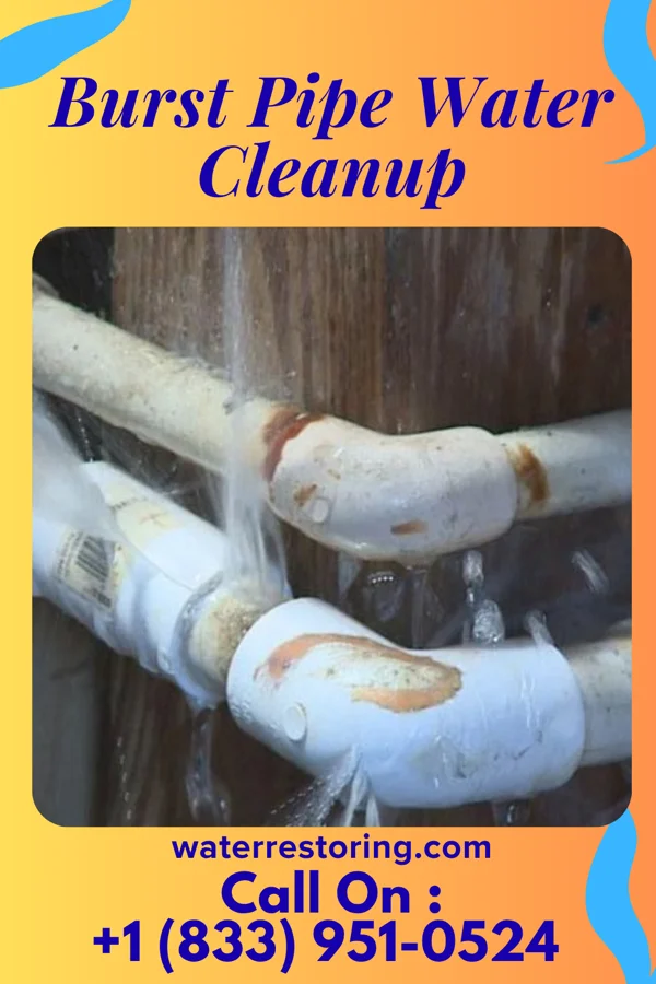Burst Pipe Water Cleanup in Berkley, MI