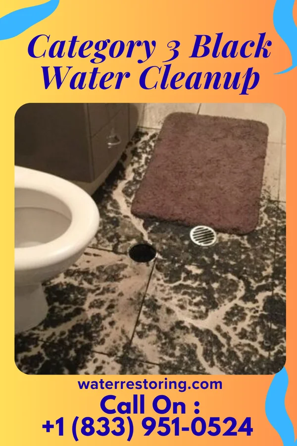 Category 3 Black Water Cleanup in Berkley, MI