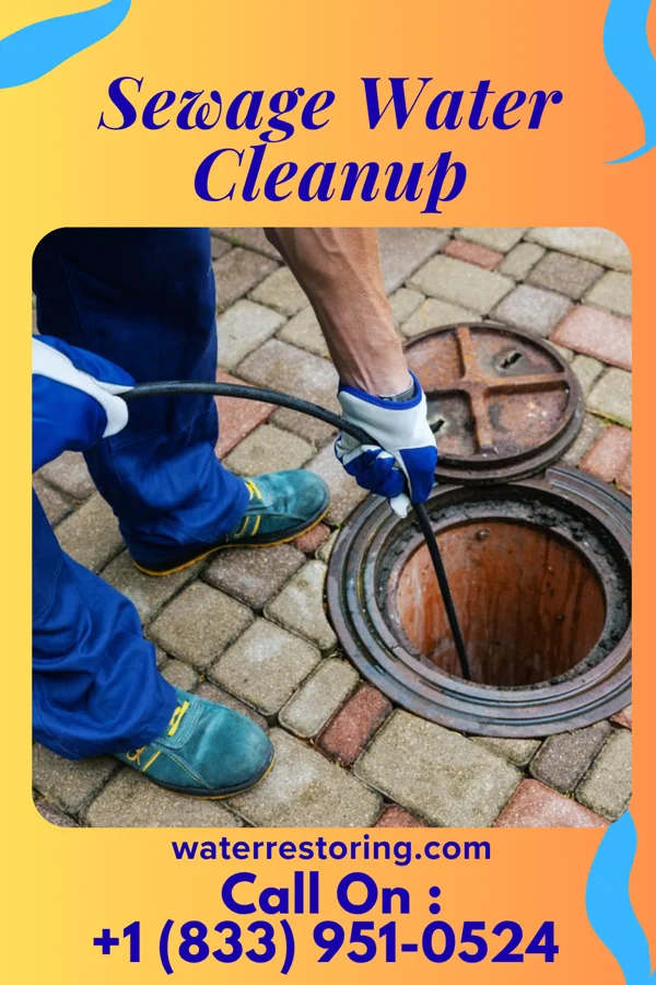 Sewage Water Cleanup in Berkley, MI
